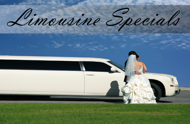 las vegas limo gratuity